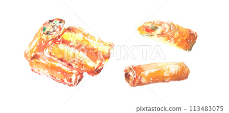 Illustration of fresh spring rolls painted in watercolor 113483075