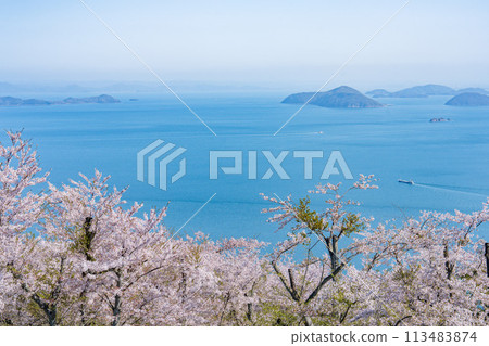 櫻花盛開的下山 113483874