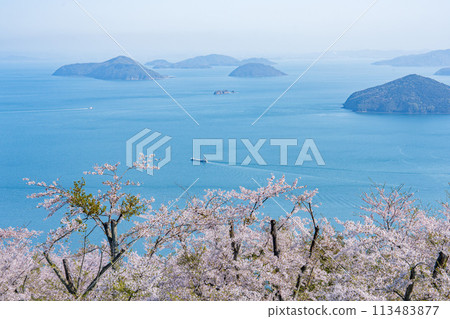 櫻花盛開的下山 113483877