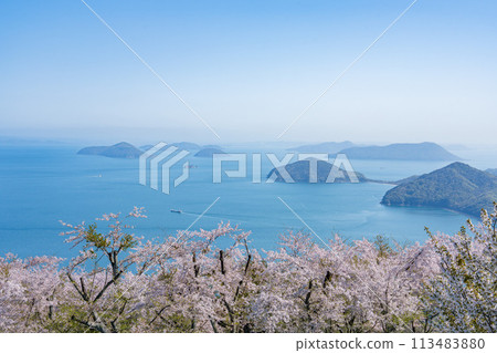 櫻花盛開的下山 113483880