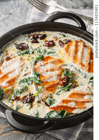 Tuscan pan seared salmon in a delicious creamy sauce with spinach, sun dried tomatoes and parmesan closeup in the pan. Vertical Tuscan pan seared salmon in a delicious creamy sauce with spinach, sun dried tomatoes and parmesan closeup in the pan. Vertical 113483901