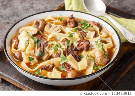 Rich beef stroganoff soup with homemade noodles and mushrooms close-up in a bowl. Horizontal Rich beef stroganoff soup with homemade noodles and mushrooms close-up in a bowl. Horizontal 113483911