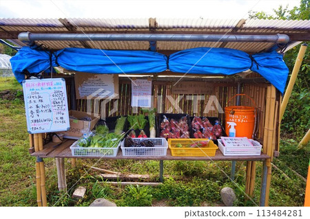 Unmanned sales of vegetables Unmanned sales booth Fresh vegetables picked that morning 113484281
