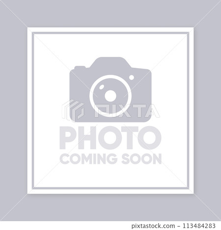 Photo Coming Soon. Picture Frame. No picture image - internet error. Vector illustration. 113484283