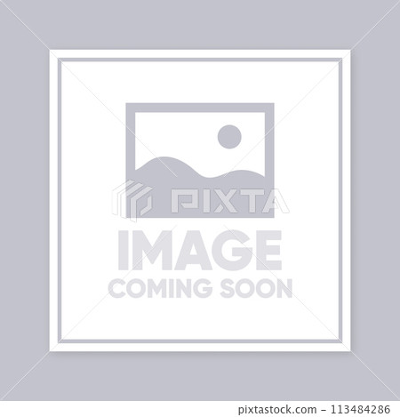 Photo Coming Soon. Picture Frame. No picture image - internet error. Vector illustration. Photo Coming Soon. Picture Frame. No picture image - internet error. Vector illustration. 113484286