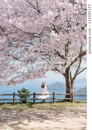櫻花盛開的下山與女人的背影 113485157
