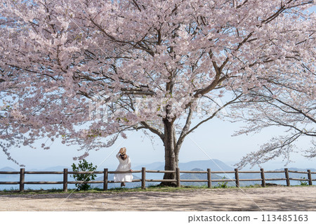 櫻花盛開的下山與女人的背影 113485163