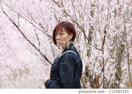 Cherry blossoms and a woman at Hanamiyama Park 113485185