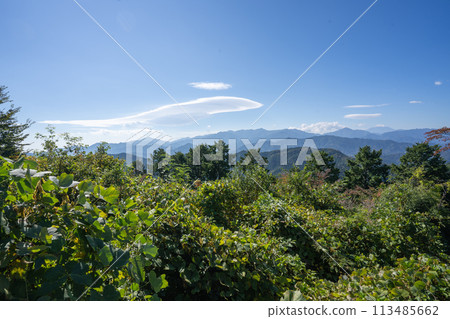 秋天從高尾山眺望遠方的富士山 113485662