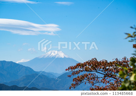 秋天從高尾山看到的富士山 秋天從高尾山看到的富士山 113485668