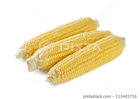 Three fresh yellow ears of corn isolated on white background Three fresh yellow ears of corn isolated on white background 113485716