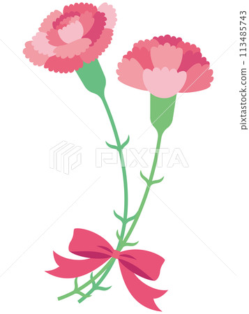 兩個可愛的粉紅色康乃馨和絲帶的插圖 113485743