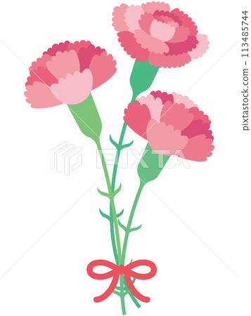 三朵可愛的粉紅色康乃馨和緞帶的插圖 113485744