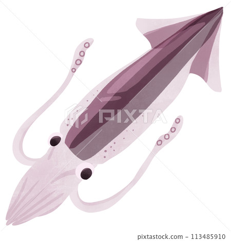魷魚手繪插畫 113485910