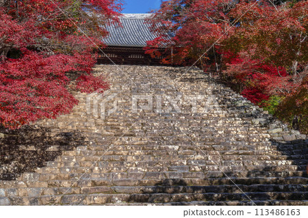 秋天的京都高雄神護寺，主殿和石階上覆蓋著秋葉 113486163