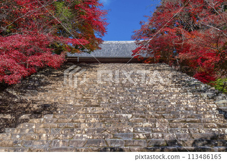 Jingoji Temple in Takao, Kyoto in autumn, the main hall and stone steps covered in autumn leaves 113486165