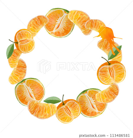 Orange tangerine slice and color splash watercolor wreath isolated on white background, hand drawn for food design. Packages, restaurant and cafe menu, natural organic food, cards, label, logo decor Orange tangerine slice and color splash watercolor wreath isolated on white background, hand drawn for food design. Packages, restaurant and cafe menu, natural organic food, cards, label, logo decor 113486581