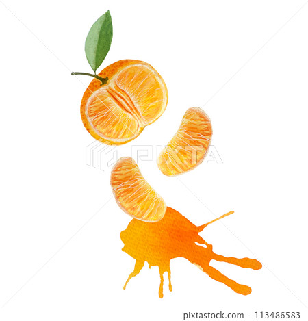 Orange tangerine slice and color splash watercolor composition isolated on white background, hand drawn for food design. Packages, restaurant and cafe menu, natural organic food, label, logo and decor 113486583