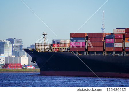 一艘大型貨櫃船（NYK VEGA）停靠在大井貨櫃碼頭，背景是天空樹 113486685