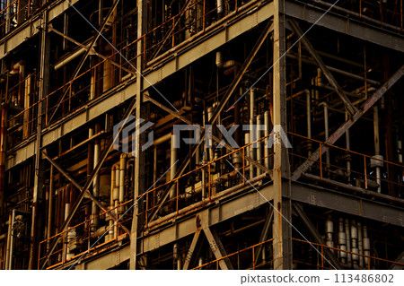 Complex facilities of a chemical plant illuminated by the setting sun 113486802