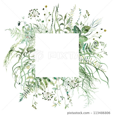 Square frame with Watercolor fern twigs with green leaves isolated illustration, botanical wedding 113486806