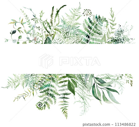 Frame with Watercolor fern twigs with green leaves isolated illustration, botanical wedding Frame with Watercolor fern twigs with green leaves isolated illustration, botanical wedding 113486822