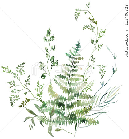 Bouquet with Watercolor fern twigs with green leaves isolated illustration, botanical wedding Bouquet with Watercolor fern twigs with green leaves isolated illustration, botanical wedding 113486828