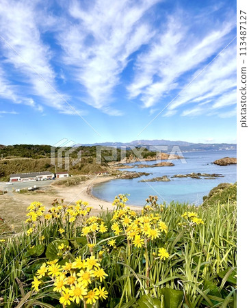 Blue sky and coast Blue sky and coast 113487127