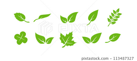 Green leaf icons set. Elements design for natural, eco, vegan. Leaves icon on isolated background. Collection green leaf. Vector 113487327