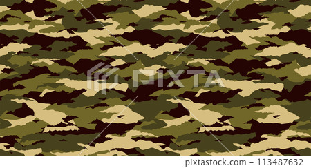 Camouflage pattern seamless background material Camouflage pattern seamless background material 113487632