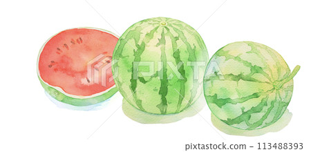 Watermelon Watercolor illustration of watermelon Summer Fruits Cutout 113488393