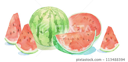 Watermelon Watercolor illustration of watermelon Summer Fruits Cutout 113488394
