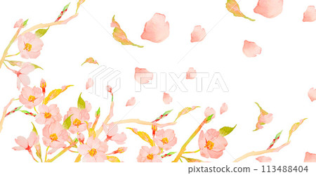 Watercolor illustration of cherry blossom petals falling 113488404