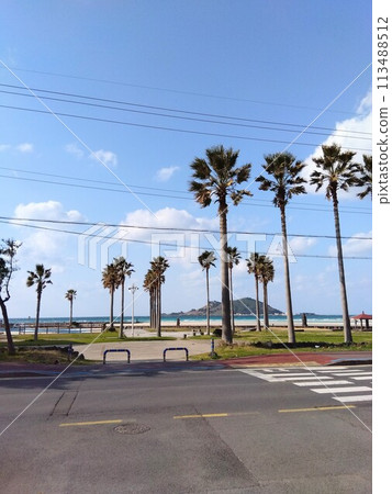 眺望遠處(濟州島)的亨才海灘 眺望遠處(濟州島)的亨才海灘 113488512