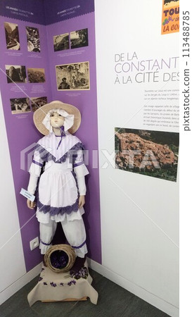 盧河畔圖雷泰紫羅蘭博物館 113488785