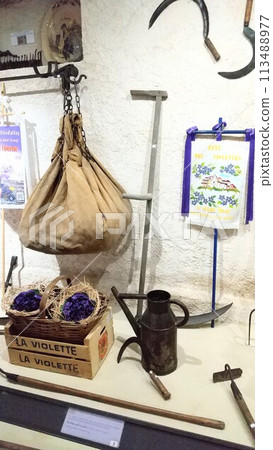 Tourrettes-sur-Loup Violet Museum Tourrettes-sur-Loup Violet Museum 113488977