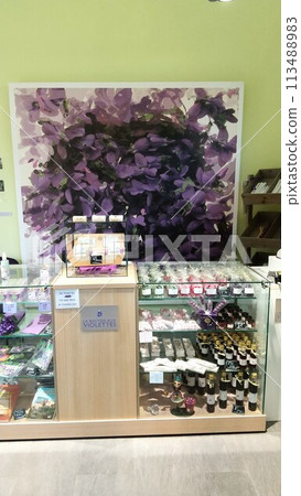 盧河畔圖雷泰紫羅蘭博物館 盧河畔圖雷泰紫羅蘭博物館 113488983