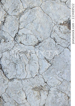 Vertical image of a dry and broken up salt desert 113489522