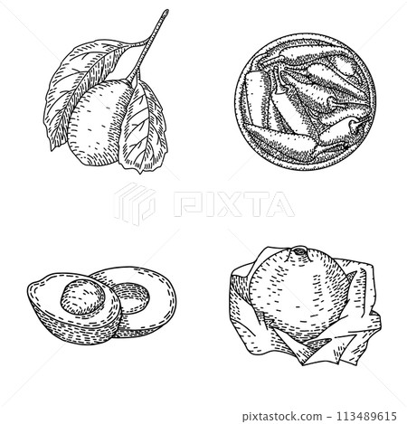 Retro hand drawn engraved drawings of fruits and vegetables. Lemon, chili peppers, avocado and pomegranate. Detailed vegetarian sketch. Great for label, poster, print, menu 113489615