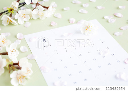 淺綠色背景的四月日曆 — 春天的柔軟蓬鬆的圖像,櫻花舞動 淺綠色背景的四月日曆 — 春天的柔軟蓬鬆的圖像,櫻花舞動 113489654