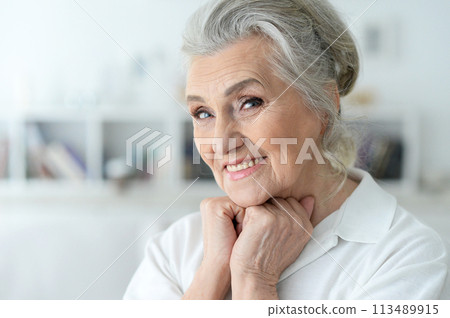 Portrait of happy beautiful senior woman posing Portrait of happy beautiful senior woman posing 113489915