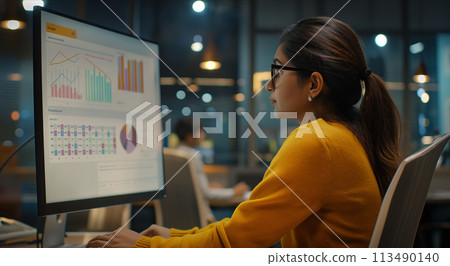 Indian Woman Working at Computer 113490140
