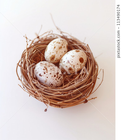 鳥巢中的蛋,白色空間 鳥巢中的蛋,白色空間 113490174