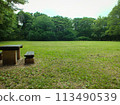 Lawn park 113490539