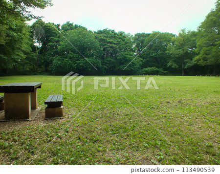 Lawn park 113490539