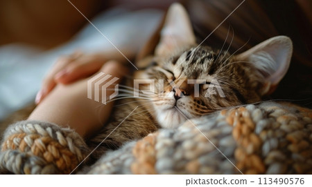 Woman Sleeping With Cat on Lap 113490576