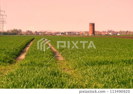 landscape with grain fields 113490920