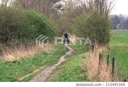 the girl goes on the road in the woods 113491309