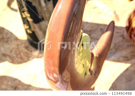 rubber boots in a zoo 113491498