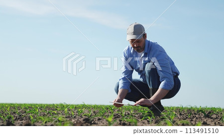 Businessman digital agricultural farmer with tablet. Man male farm worker takes care of corn crops sowing shoots videos takes photos manages resources monitors condition of crop harvest in field. Businessman digital agricultural farmer with tablet. Man male farm worker takes care of corn crops sowing shoots videos takes photos manages resources monitors condition of crop harvest in field. 113491510